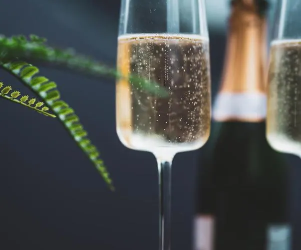 Οργανωμένο κάμπινγκ Reves2bulles *