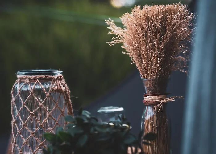 Οργανωμένο κάμπινγκ Reves2bulles *